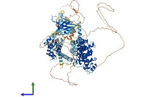 AlphaFold protein structure predicition of Mouse Recombinant Sgsm1 Protein, UniprotID Q8BPQ7