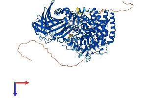 GBA2 Protein (AA 1-927) (His tag)