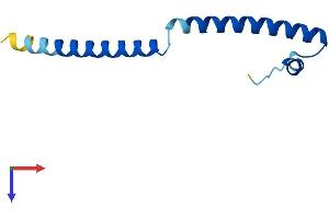 SWI5 Protein (AA 1-89) (His tag)