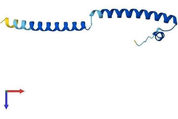 SWI5 Protein (AA 1-89) (His tag)