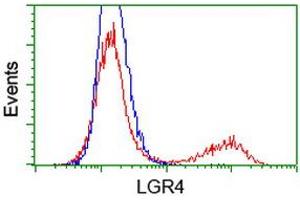 Flow Cytometry (FACS) image for anti-Leucine-Rich Repeat Containing G Protein-Coupled Receptor 4 (LGR4) (AA 230-540) antibody (ABIN1491240) (LGR4 Antikörper  (AA 230-540))