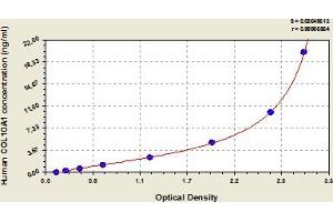 Typical Standard Curve (COL10A1 ELISA Kit)