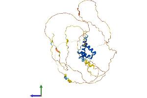 Protein Structure (PS) image for Homeobox D3 (HOXD3) (AA 1-433) protein (His tag) (ABIN7562769)
