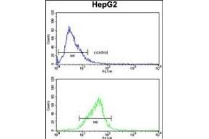 FOSB Antibody (Center ) (ABIN1882084 and ABIN2841129) flow cytometry analysis of HepG2 cells (bottom histogram) compared to a negative control cell (top histogram). (FOSB Antikörper  (AA 122-149))