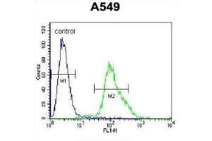 Flow Cytometry (FACS) image for anti-Forkhead Box N1 (FOXN1) antibody (ABIN2996514) (FOXN1 Antikörper)