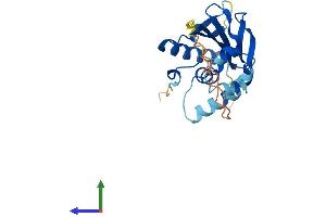 Protein Structure (PS) image for Autophagy Related 10 (ATG10) (AA 1-215) protein (His tag) (ABIN7559677)