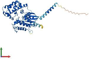 Protein Structure (PS) image for Guanine Nucleotide Binding Protein (G Protein), alpha 13 (GNA13) (AA 1-377) protein (His tag) (ABIN7548018)