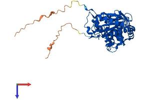 ILF2 Protein (AA 1-390) (His tag)