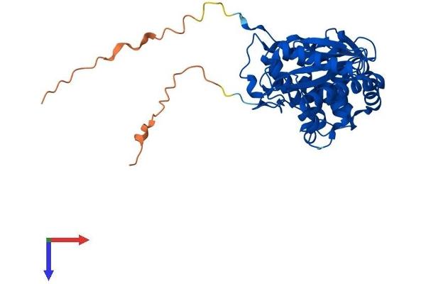 ILF2 Protein (AA 1-390) (His tag)