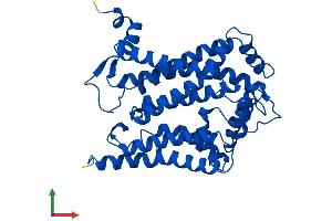 AlphaFold protein structure predicition of Mouse Recombinant Mt-Cyb Protein, UniprotID P00158 (Cytochrome b Protein (AA 1-381) (His tag))