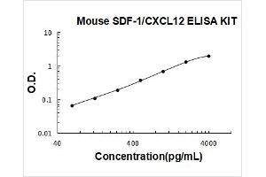 Chemokine (C-X-C Motif) Ligand 12 (CXCL12) ELISA Kit