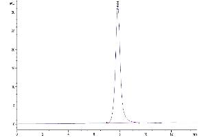 The purity of Mouses LAMP5 is greater than 95 % as determined by SEC-HPLC.