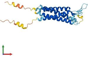 Protein Structure (PS) image for Transmembrane Protein 37 (TMEM37) (AA 1-211) protein (His tag) (ABIN7561609)