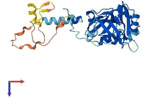 SDCBP2 Protein (AA 1-292) (His tag)
