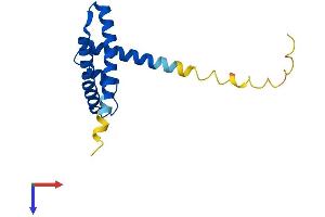 APITD1 Protein (AA 1-142) (His tag)