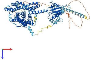 SLC26A6 Protein (AA 1-759) (His tag)