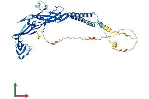 Protein Structure (PS) image for Purinergic Receptor P2X, Ligand Gated Ion Channel 2 (P2RX2) (AA 1-471) protein (His tag) (ABIN7554866)