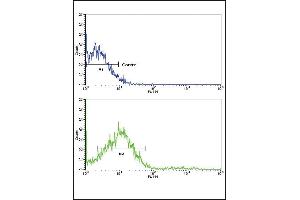 Flow cytometric analysis of NCI- cells using ROR2 Antibody (N-term)(bottom histogram) compared to a negative control cell (top histogram). (ROR2 Antikörper  (N-Term))