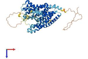 SLC1A1 Protein (AA 1-523) (His tag)
