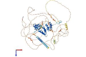 PPP1R13L Protein (AA 1-824) (His tag)