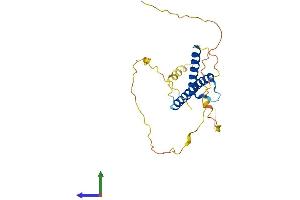 Protein Structure (PS) image for Neurogenin 1 (NEUROG1) (AA 1-237) protein (His tag) (ABIN7549831)