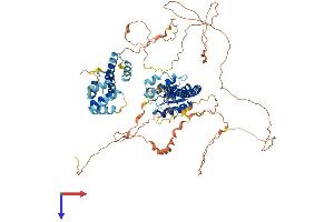 TICAM1 Protein (AA 1-732) (His tag)