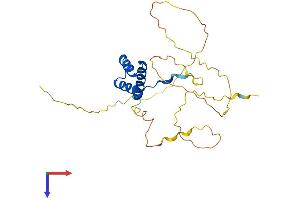 DLX1 Protein (AA 1-255) (His tag)