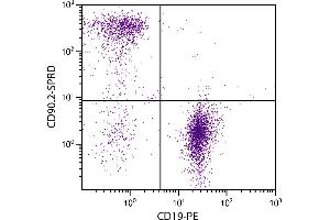 BALB/c mouse splenocytes were stained with Rat Anti-Mouse CD90. (CD90.2 / Thy-1.2 Antikörper  (SPRD))