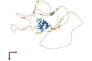 ETV3 Protein (AA 1-512) (His tag)