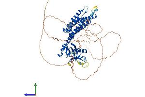Protein Structure (PS) image for Neuroepithelial Cell Transforming 1 (NET1) (AA 1-596) protein (His tag) (ABIN7552381)