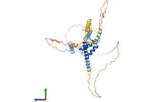 Protein Structure (PS) image for Diencephalon/mesencephalon Homeobox 1 (DMBX1) (AA 1-382) protein (His tag) (ABIN7547078)