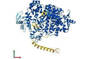 Protein Structure (PS) image for Ribonucleotide Reductase M1 (RRM1) (AA 1-792) protein (His tag) (ABIN7551426)