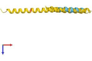AlphaFold protein structure predicition of Human Recombinant FAM25A Protein, UniprotID B3EWG3