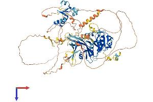 LPIN3 Protein (AA 1-848) (His tag)