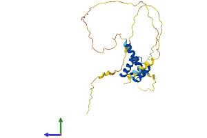 Protein Structure (PS) image for Mix Paired-Like Homeobox (MIXL1) (AA 1-231) protein (His tag) (ABIN7556278)