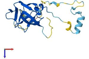 AlphaFold protein structure predicition of Human Recombinant ERVK-18 Protein, UniprotID P63123