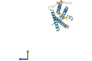 Protein Structure (PS) image for Lysosomal Protein Transmembrane 4 alpha (LAPTM4A) (AA 1-233) protein (His tag) (ABIN7548848)