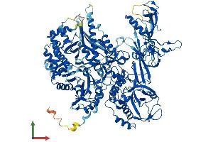 Protein Structure (PS) image for Polymerase (RNA) III (DNA Directed) Polypeptide B (POLR3B) (AA 1-1133) protein (His tag) (ABIN7563480)