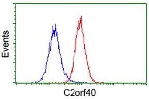 Image no. 2 for anti-Chromosome 2 Open Reading Frame 40 (C2orf40) antibody (ABIN1497049) (C2orf40 Antikörper)
