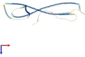 CCHCR1 Protein (AA 1-782) (His tag)
