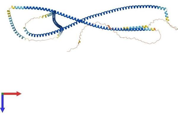 CCHCR1 Protein (AA 1-782) (His tag)