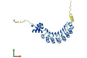 Protein Structure (PS) image for F-Box and Leucine-Rich Repeat Protein 15 (FBXL15) (AA 1-300) protein (His tag) (ABIN7547789)