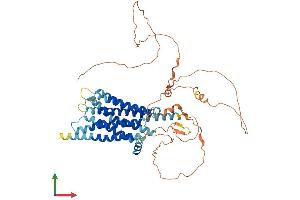 Protein Structure (PS) image for G Protein-Coupled Receptor 162 (GPR162) (AA 1-588) protein (His tag) (ABIN7557237)
