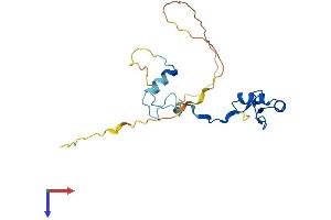 INO80C Protein (AA 1-191) (His tag)
