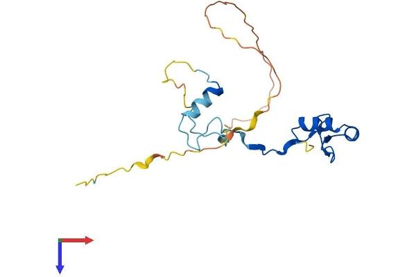 INO80C Protein (AA 1-191) (His tag)
