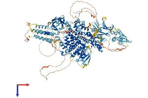 PIK3C2G Protein (AA 1-1506) (His tag)