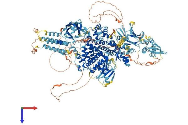PIK3C2G Protein (AA 1-1506) (His tag)