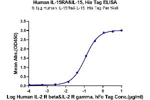 Immobilized Human IL-15RA&IL-15, His Tag at 1 μg/mL (100 μL/well) on the plate.