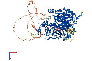 TDP1 Protein (AA 1-609) (His tag)