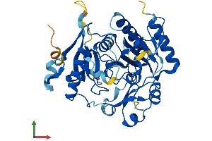 Protein Structure (PS) image for Chromosome 15 Open Reading Frame 58 (C15orf58) (AA 1-386) protein (His tag) (ABIN7557070)
